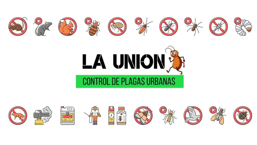 Control de insectos. Fumigación de combate y prevención de plagas de insectos rastreros y voladores en hogares, comercios e instituciones