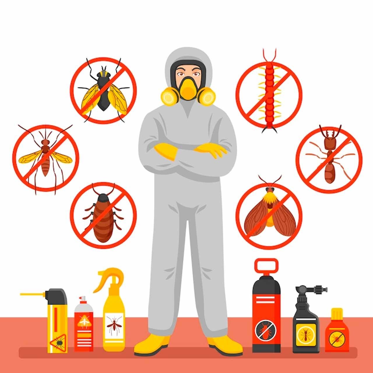 control-de-plagas-11