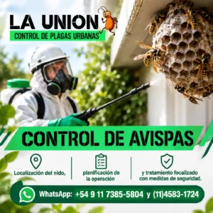 Control de avispas: tratamiento seguro del nido en CABA y GBA