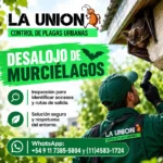 Desalojo de murciélagos: una solución segura, científica y respetuosa para tu hogar