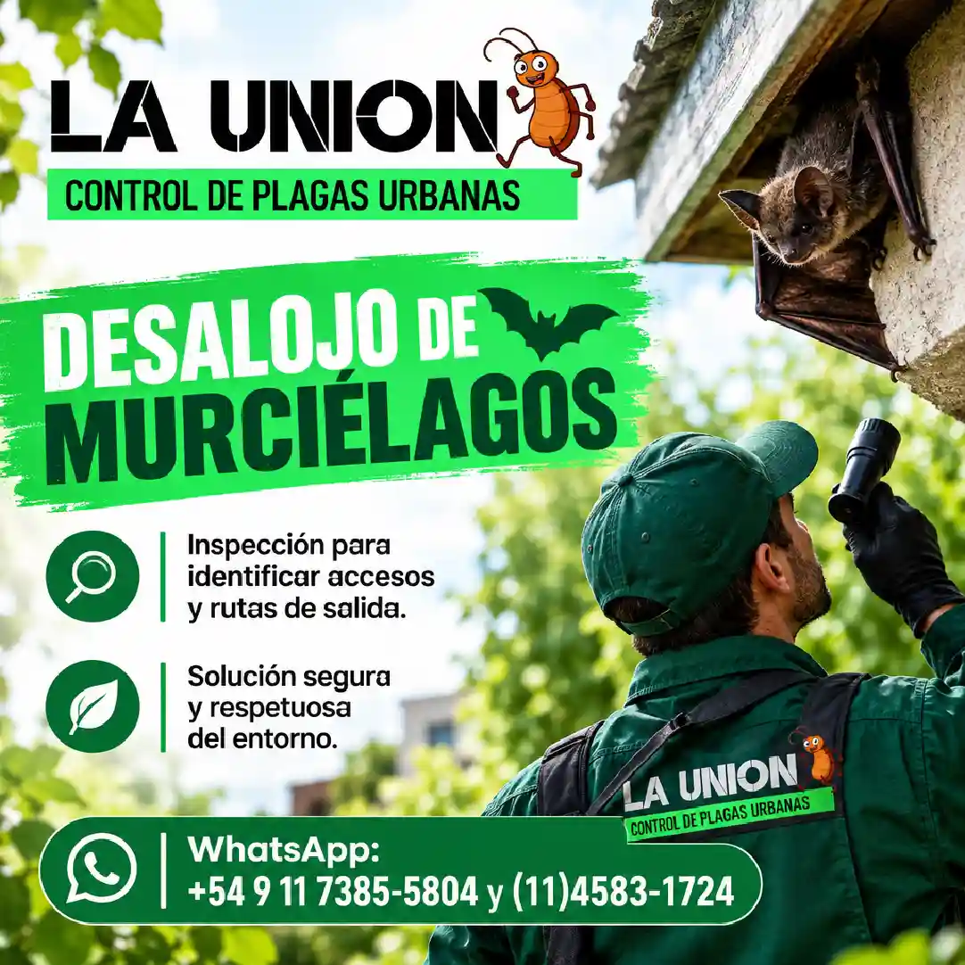 Desalojo de murciélagos: una solución segura, científica y respetuosa para tu hogar