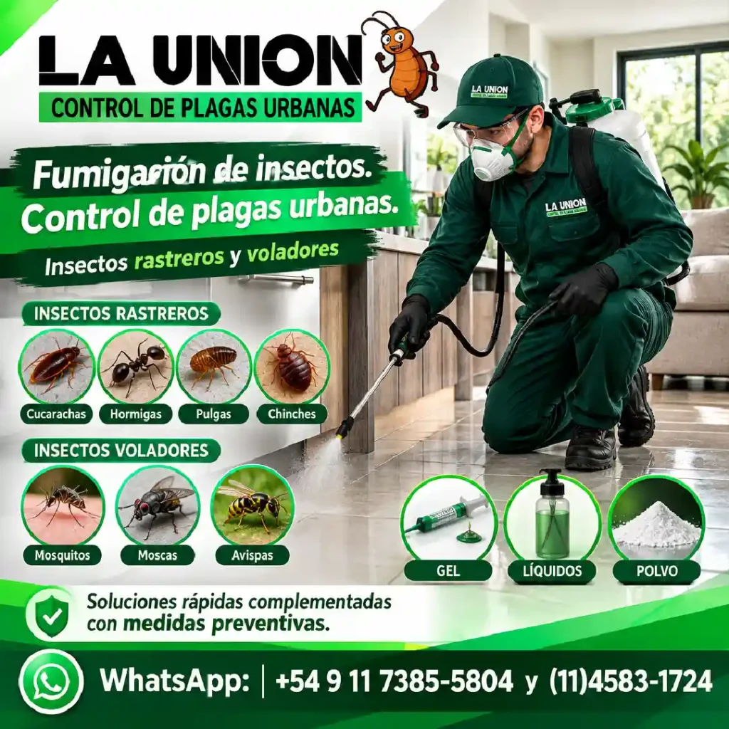 Fumigación de insectos. Control de plagas urbanas.