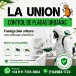 Insectos voladores: control científico de mosquitos, moscas y avispas en CABA y GBA