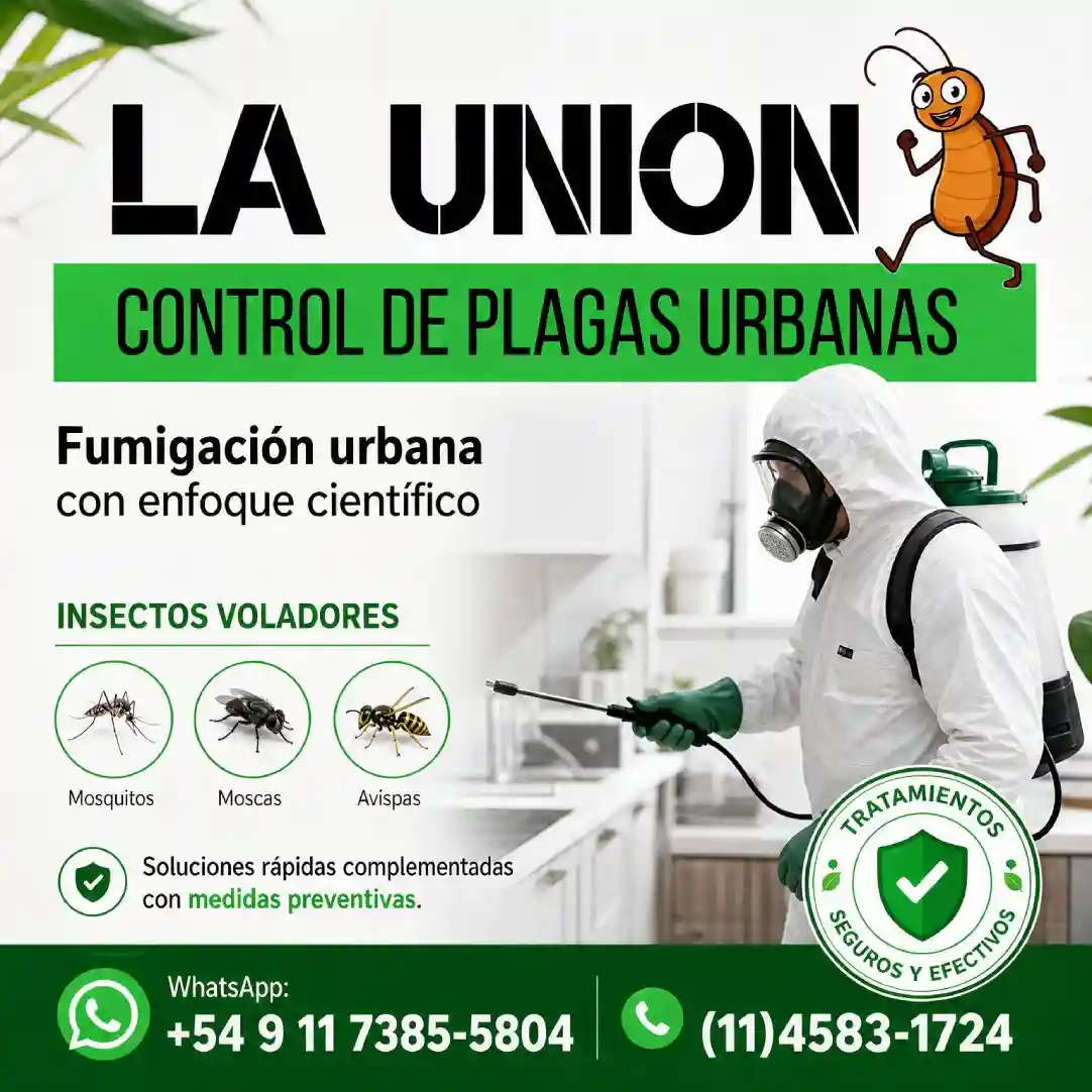 Insectos voladores: control científico de mosquitos, moscas y avispas en CABA y GBA