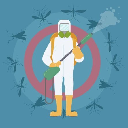 Insectos voladores 02